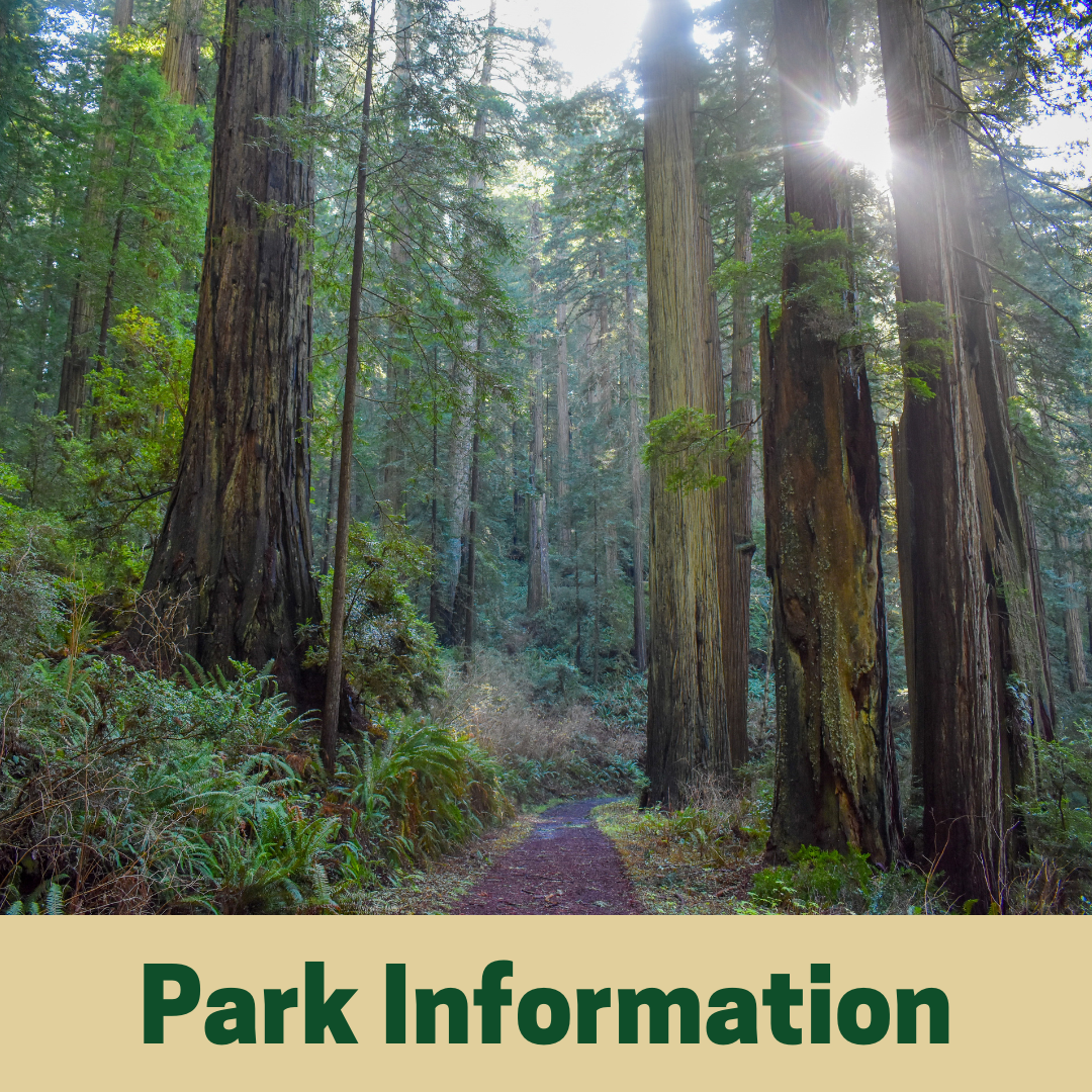 Park Information